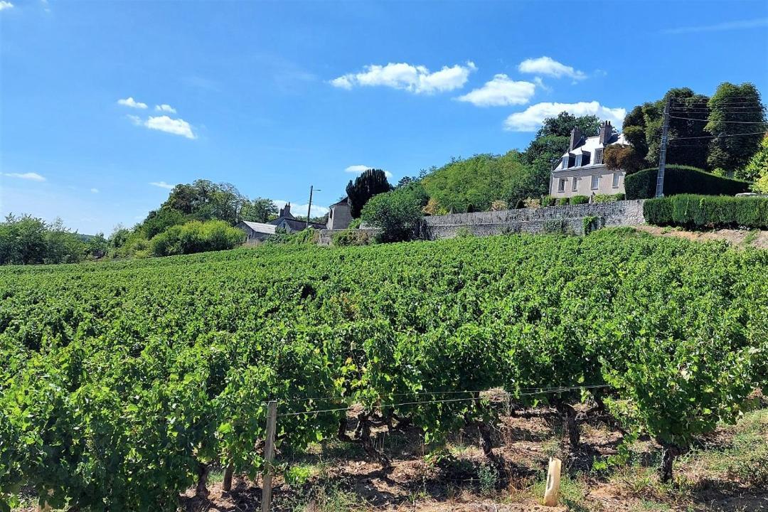 Le Balzac / Colbert - Bord De Loire Lägenhet Tours Exteriör bild